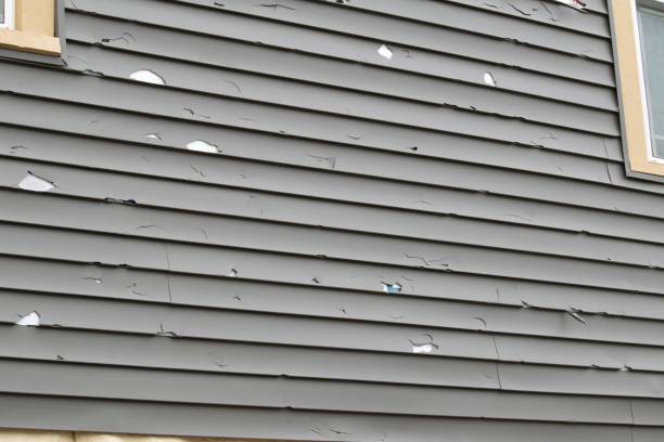 Best Custom Siding Design  in Lorain, OH