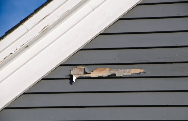 Best Steel Siding Installation  in Lorain, OH