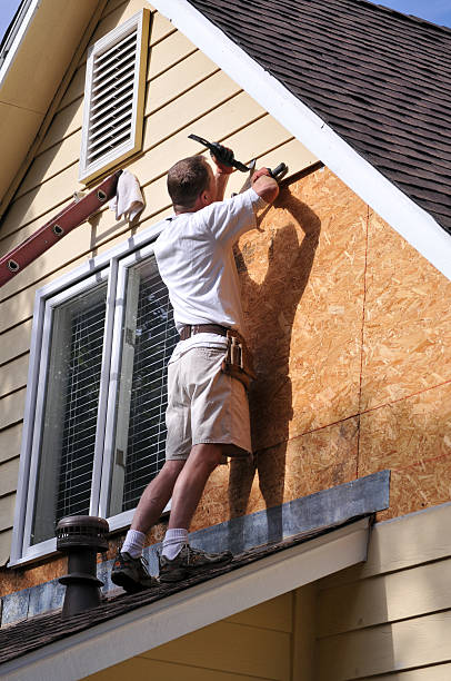 Best Siding Painting and Refinishing  in Lorain, OH